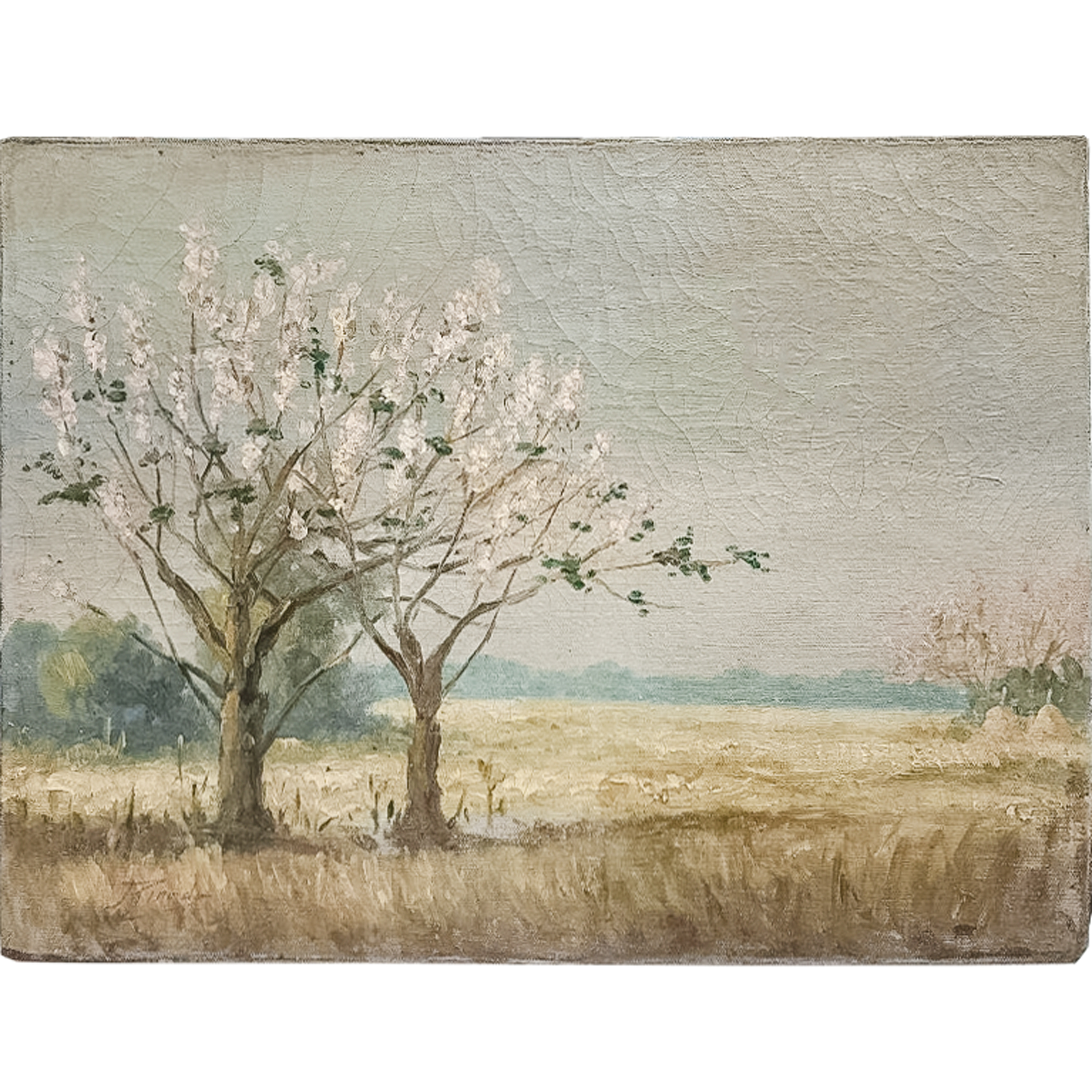 Art of Jorge Pineda　ホルヘ・ピネダ Jorge Pineda (1879 - 1946) - Trees in Bloom